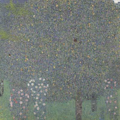 Gustav Klimt Rose Bushes Under the Trees (mk20) oil painting picture